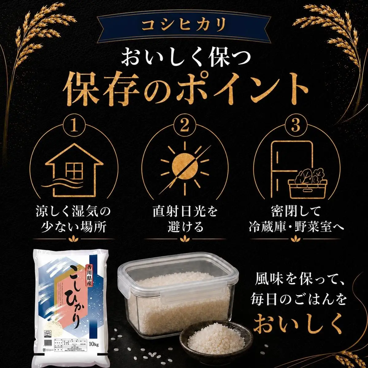 コシヒカリ 米 精米 白米 香川県産 コシヒカリ【10kg】