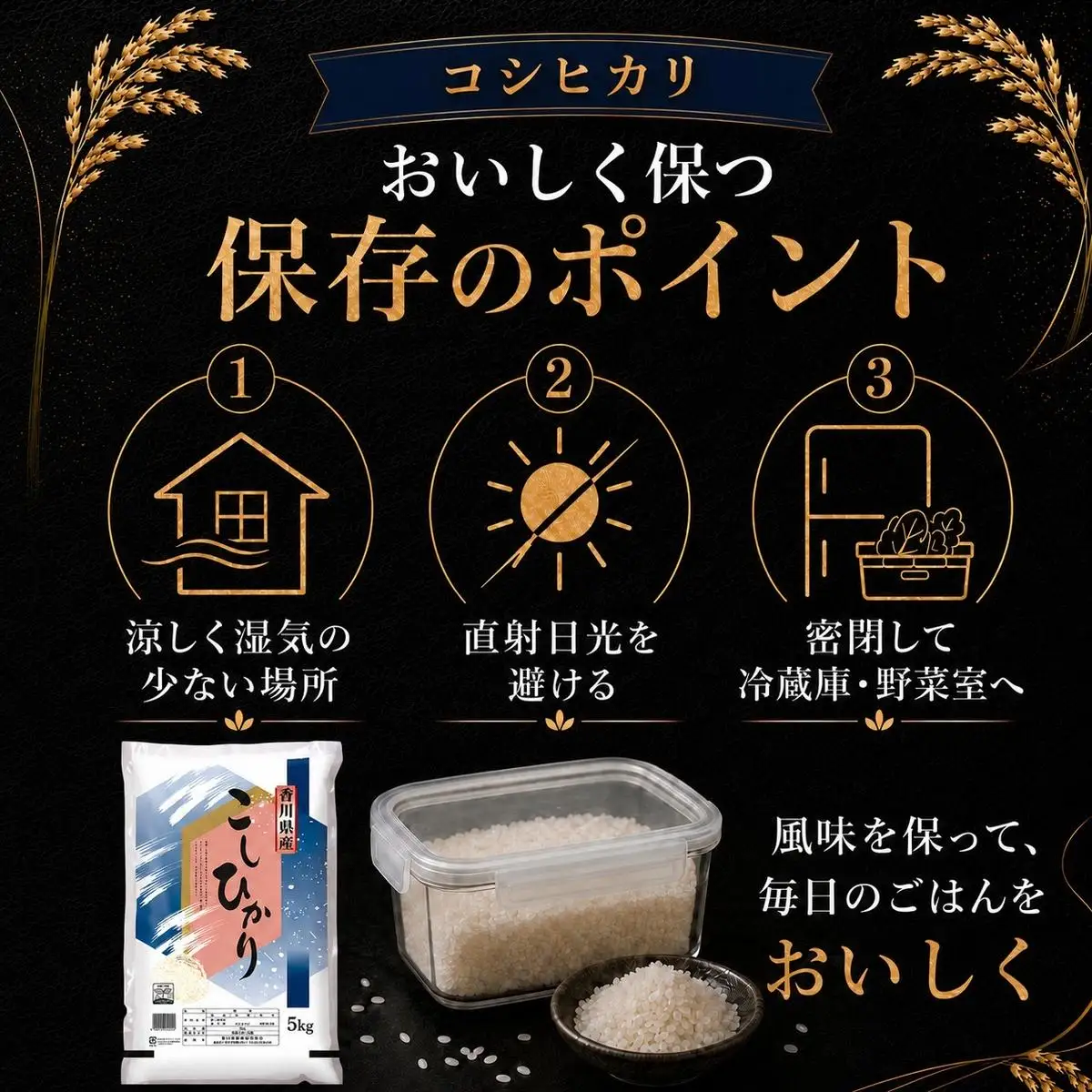 コシヒカリ 米 精米 白米 香川県産 コシヒカリ【5kg】