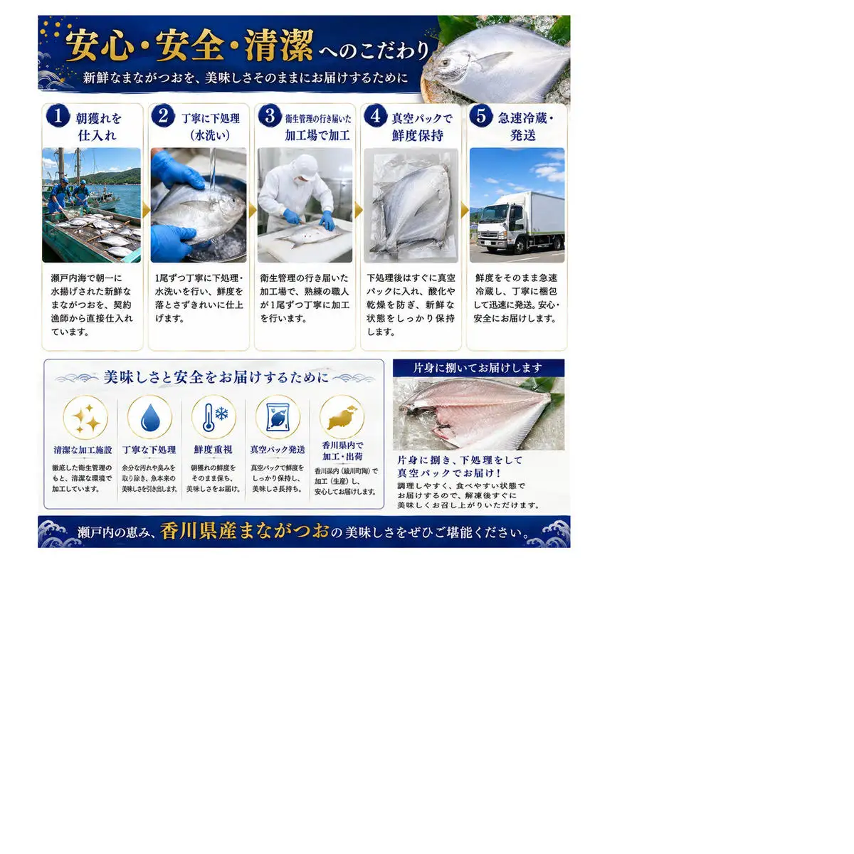 生鮮 香川県産 まながつお 1尾 1.8kg以上 マナガツオ 真魚鰹 真名鰹 魚 魚介 魚介類 冷蔵 香川 香川県