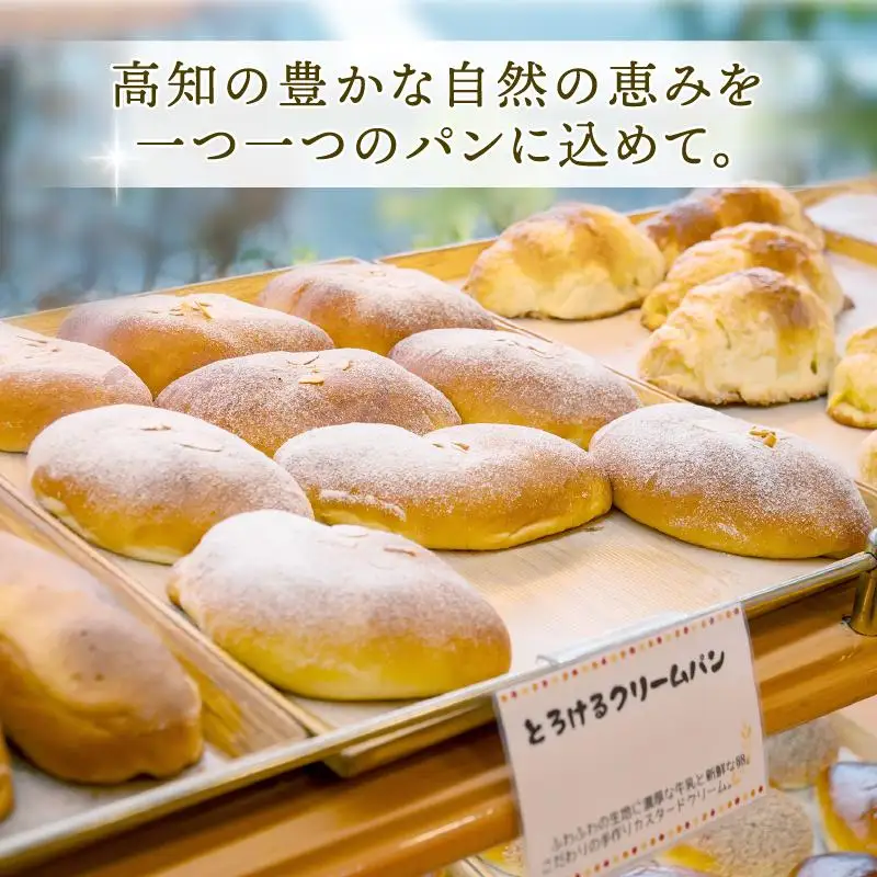特上食パン 4斤 フィセル 3本 （ フランスパン ） MNB026｜