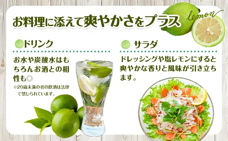 グリーン レモン 訳あり 1kg 三ツ山レモンファーム 檸檬