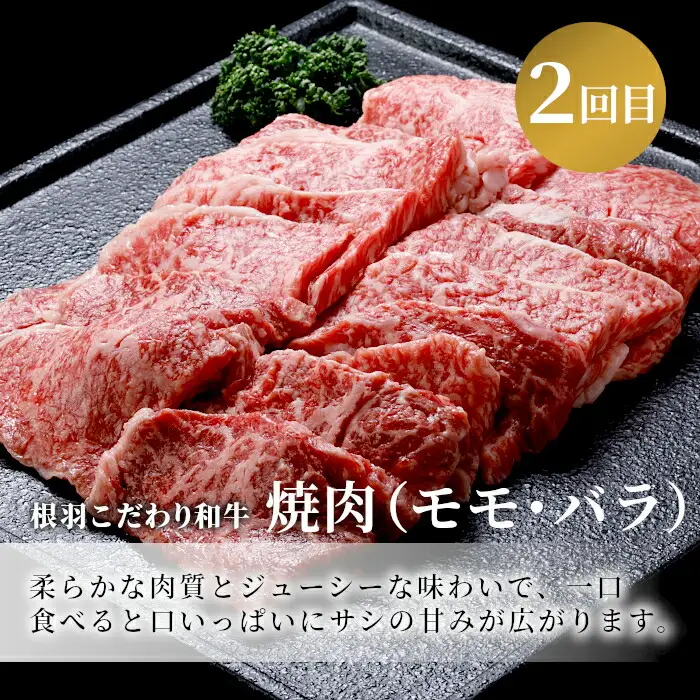 焼き肉づくし★国産黒毛和牛 焼肉定期便 切り落とし リブロース カタロース モモ バラ 焼肉 定期便 BBQ バーベキュー 長野県 根羽村 根羽こだわり和牛 肉 牛肉 和牛 黒毛和牛 霜降り 赤身 30000円 30,000円 3万円