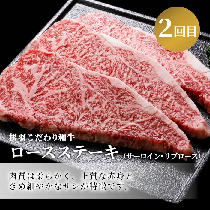 全3回★黒毛和牛 ステーキ定期便 ヒレステーキ ロースステーキ サーロインステーキ サイコロステーキ 希少部位 和牛 牛肉 肉 牛 焼き肉 ステーキ バーベキュー 定期便 限定 50000円 5万円 肉定期 長野県 根羽村