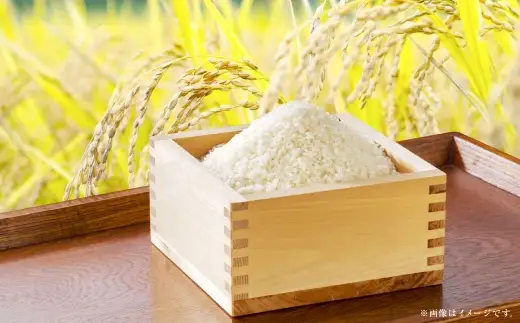 【 令和7年産 】 岡山県産 コシヒカリ 10kg （ 5kg × 2袋 ） お米 米 こめ 白米 白飯 飯 ご飯 おにぎり ブランド米 ブランド 国産 コメ