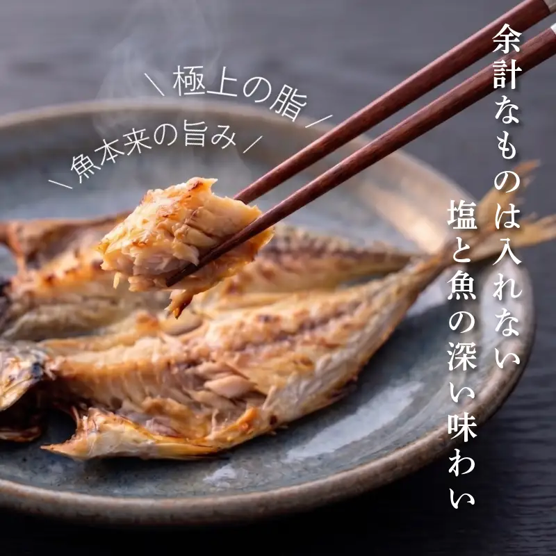 干物 詰め合わせ 4種以上 6枚