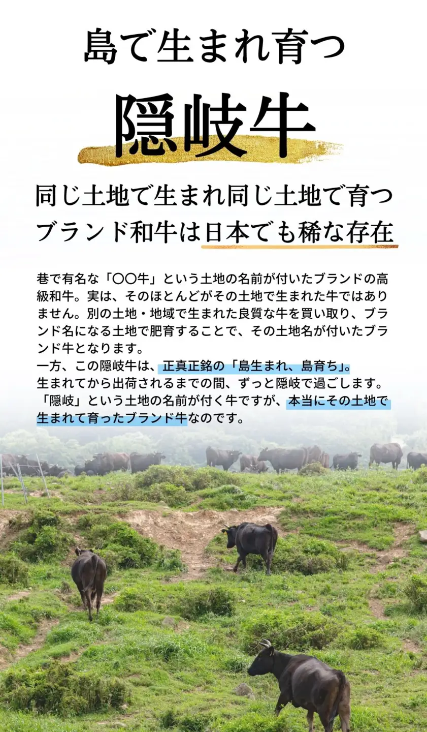 隠岐牛 和牛 切り落とし 400g A5 和牛 牛肉