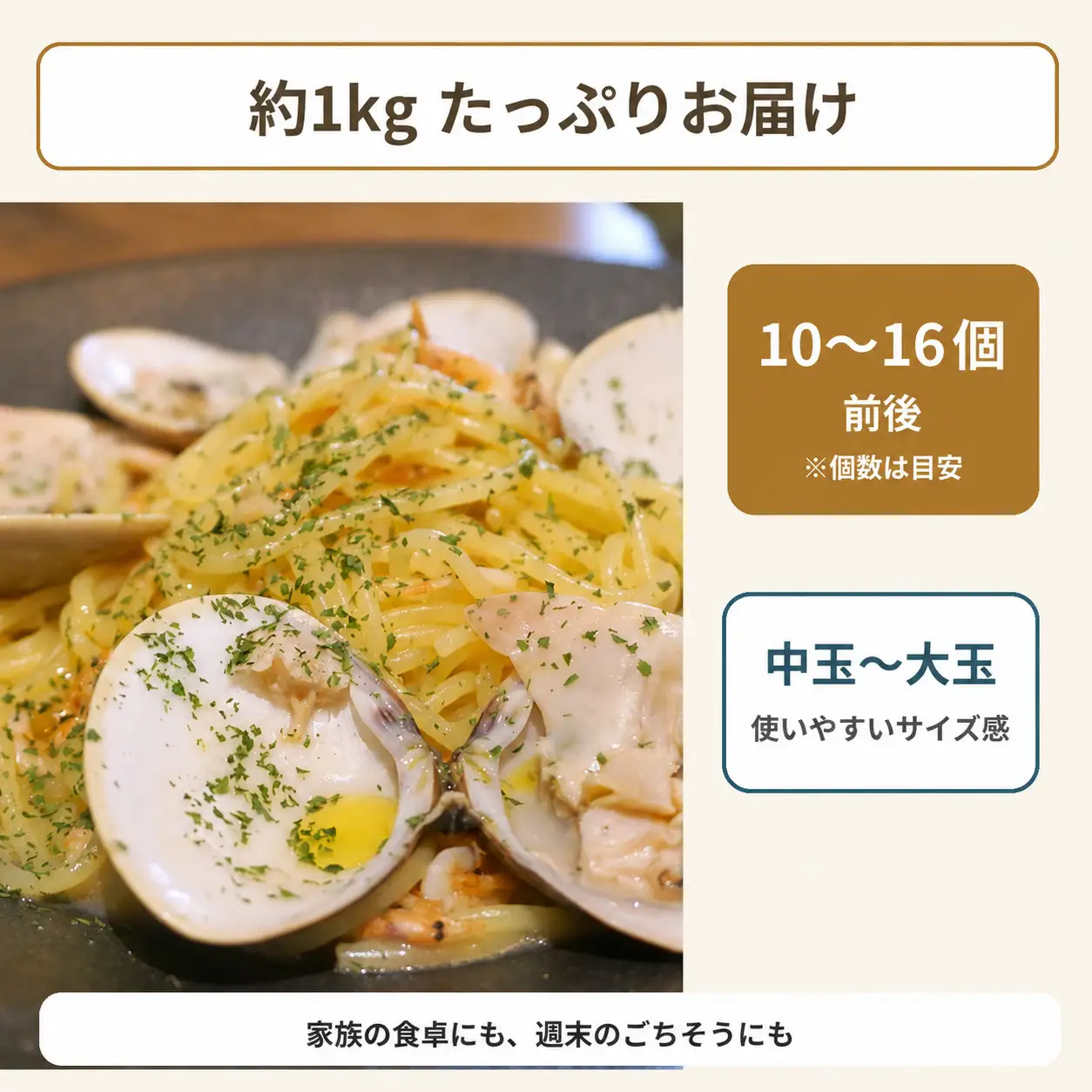 九十九里産　天然　活はまぐり（中玉～大玉） 約1kg（10～16個前後） / はまぐり ハマグリ 蛤 天然 活はまぐり 活ハマグリ 活蛤 生 冷蔵 中玉 大玉 貝 貝類 魚介 魚貝 魚介類 海鮮 天然 砂抜き済 1kg 九十九里産 匝瑳市産 産地直送 産直 千葉県 匝瑳市