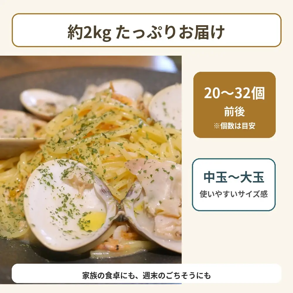 九十九里産　天然　活はまぐり（中玉～大玉） 約2kg（20～32個前後） / はまぐり ハマグリ 蛤 天然 活はまぐり 活ハマグリ 活蛤 中玉 大玉 貝 貝類 魚介 魚貝 海鮮 2kg 九十九里産 産地直送 産直 千葉県 匝瑳市