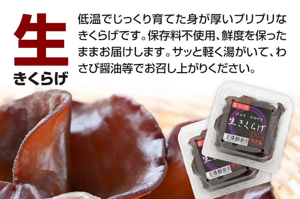 みちのくの小京都・角館が育んだ「生きくらげ」約100g×6個　