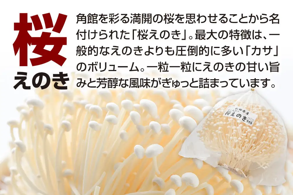 みちのくの小京都・角館が育んだ「2種セット」（桜えのき約300g×3袋、原木しいたけ×3パック）きのこ2種