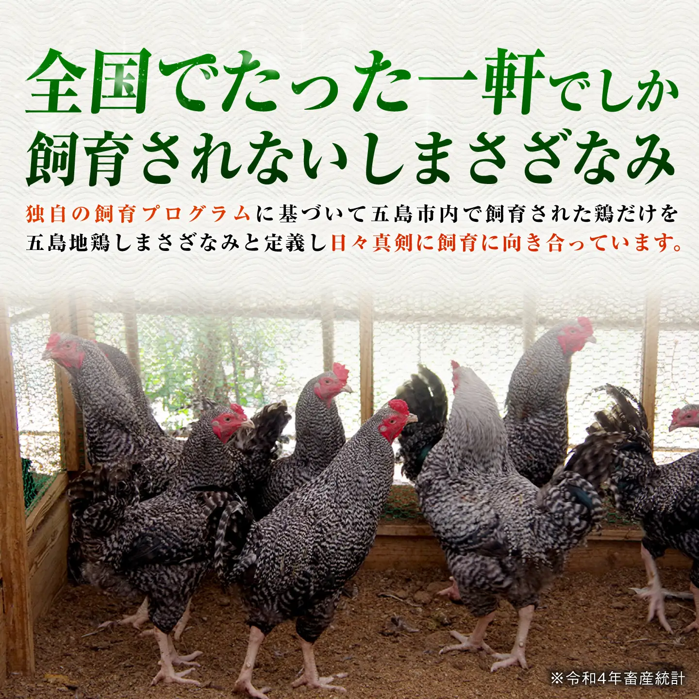 五島しまさざなみ まるごと1羽分セット 冷凍 五島市/合同会社五島さざなみ農園[PHH001]