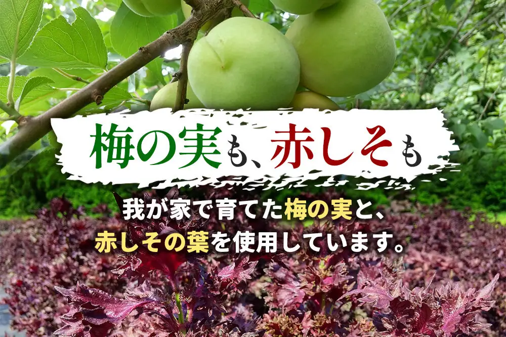 梅漬け（赤しそ入り） 200×4個 自家製 秋田県 北秋田阿仁産