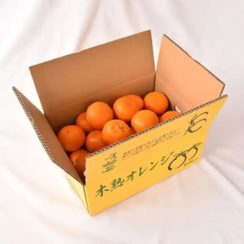 カラマンダリン【秀品】5kg ＜先行予約＞ 【期間限定・数量限定】 / フルーツ 果物 田辺市 和歌山県 カラマンダリン【ymh026】