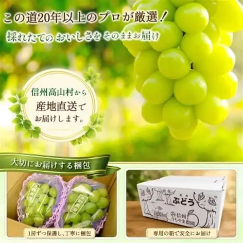 【先行受付】信州高山村産　シャインマスカット1kg(2～3房入り)秀品(訳あり品ではございません)【配送不可地域：離島・北海道・沖縄県】【1740774】