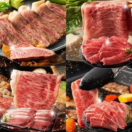 【ギフトボックス】くまもと黒毛和牛「藤彩牛」厳選4種の贅沢セット(美里町)【配送不可地域：離島】【1742040】