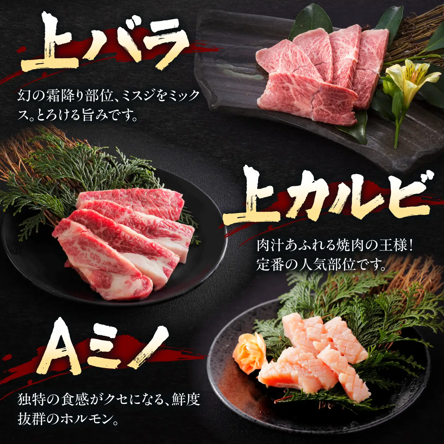 【全12回定期便】焼肉セット 極 1.2kg / 肉 牛肉 牛 焼肉 焼き肉 やきにく BBQ バーベキュー キャンプ アウトドア 鉄板焼き セット 詰め合わせ 食べ比べ 国産 冷凍 小分け ミノ ホルモン ロース ハラミ カルビ バラ バラ肉 上カルビ 約 1kg / 大阪府藤井寺市/株式会社 松屋[BLCD013]