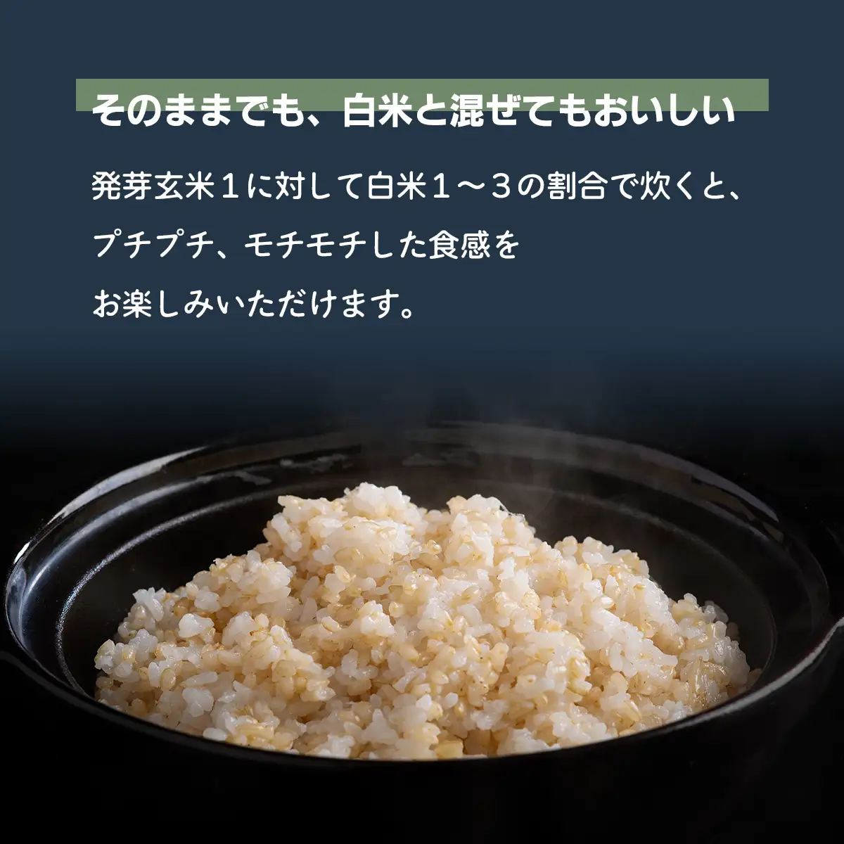 北海道米の発芽玄米「ななつぼし・ゆめぴりか」食べ比べセット（500g×2種×5セット)計5kg MKWAH011