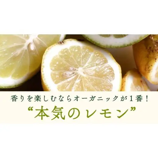 【 先行予約 】 瀬戸内 オーガニック レモン 9kg (80～90個程度) 【 2027年2月～3月発送 】 有機JAS 広島県産 中原観光農園