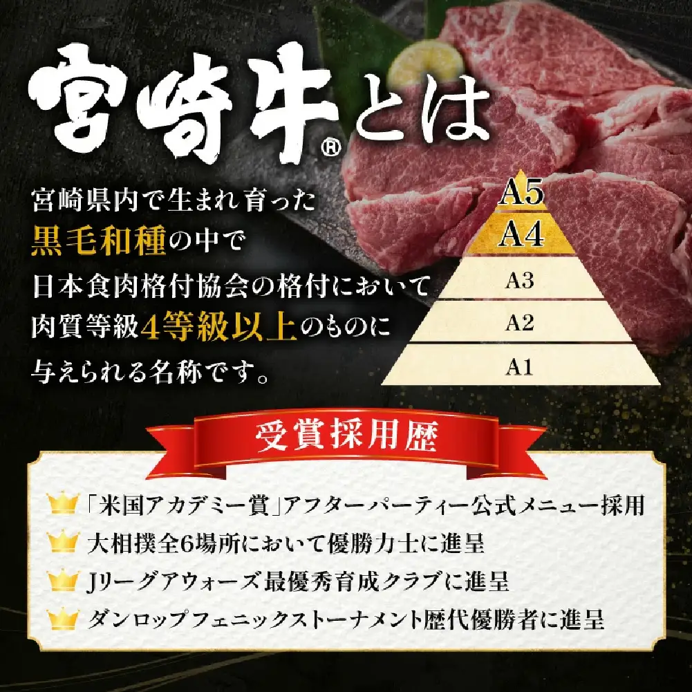 【新鮮チルド発送!!】A5等級宮崎牛特選ロース焼肉 600g（黒毛和牛 牛肉 宮崎牛 ロース 霜降り 赤身 焼肉用 宮崎県）