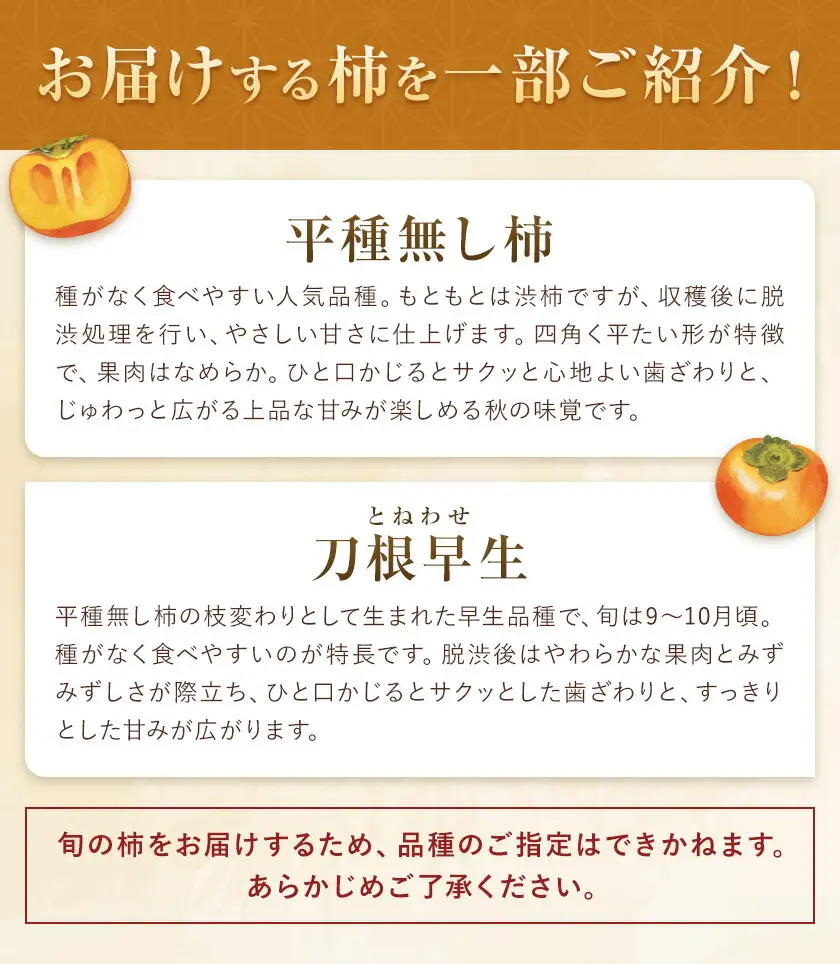 たねなし柿 秀品 6kg 農業福祉研究機構《9月上旬-11月上旬頃出荷》