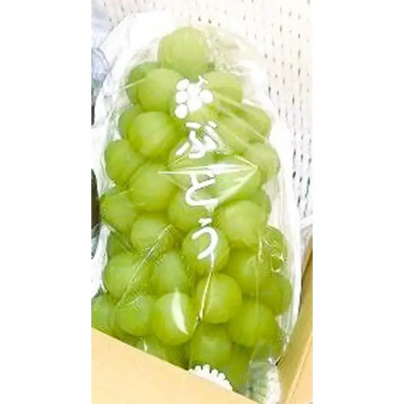 山形県産ぶどう ナイヤガラ 2kg FSY-2893