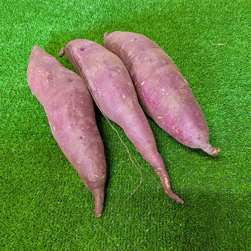 【先行予約】＼豪華4種！食べ比べ／ さつまいも 8kg セット（各2kg）（2026年10月以降順次発送）北海道産 品種おまかせ 紅はるか シルクスイート すずほっくり クイックスイート 安納芋 ゆきこまち 姫あずま ふくむらさき mr1-1414