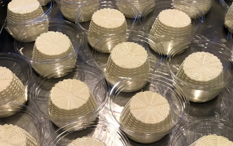 チーズ ジャージー牛ミルクのリコッタフレスカ 200g×2（保存料・安定剤不使用） 【ジャパンチーズアワード銀賞受賞】フレッシュチーズ 乳製品 ジャージー牛乳 フレッシュ リコッタ 蒜山 岡山県【ymoy001-01】