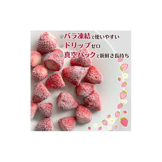 冷凍いちご 1kg バラ凍結 真空パック 栽培期間中農薬不使用 ヘタ取り済み 低温急速冷凍 いちご本来の甘さと香り フローズンストロベリー