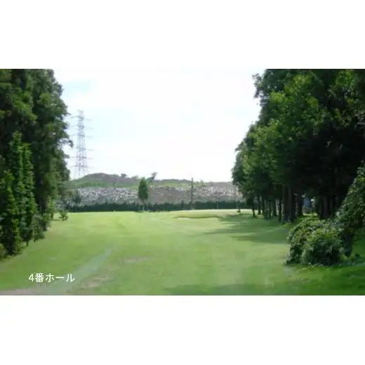 ゴルフ場利用券 白井ゴルフ林間ショートコース 平日2回プレー券 2名様分 白井市 ゴルフ場 お一人様でも回れるゴルフ場 おすすめ 体験 千葉 初心者歓迎 ショートコース ペアチケット 体験チケット