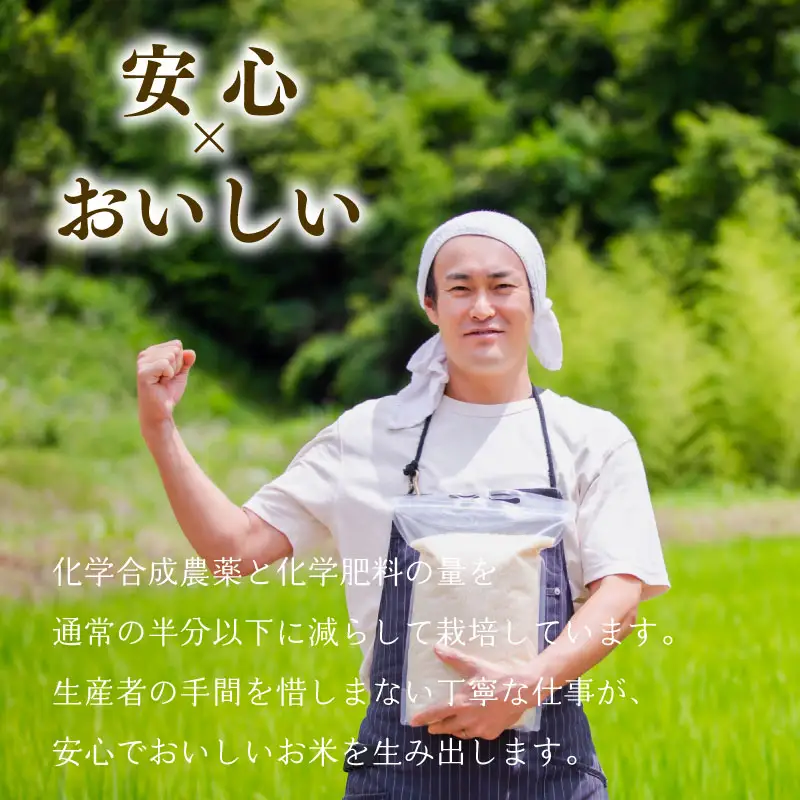 【美しさピカイチ】令和7年産 コシヒカリ ３㎏ 精米 こしひかり 米 お米 こめ ごはん ご飯 ライス 朝食 昼食 夕飯 炊きたて 希少 プレミアム 美人舞 こだわり 美しさ かがやき 輝き JGAP GAP認証 和食 自然 加治川 加治川産 新潟産 新潟 新潟県 新発田産 新発田市 新発田  アグリ加治川 agk010