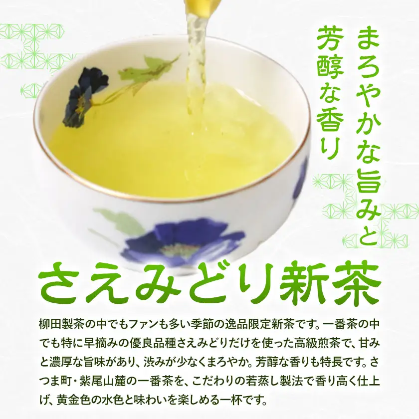 若蒸煎茶 さえみどり 新茶 80g×3袋 柳田製茶 《5月上旬より順次出荷予定(土日祝除く)》
