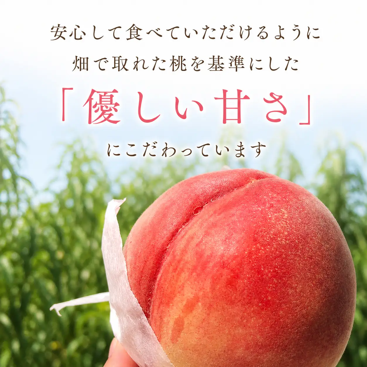 ジェラート 110g 4個セット 香川県 丸亀市