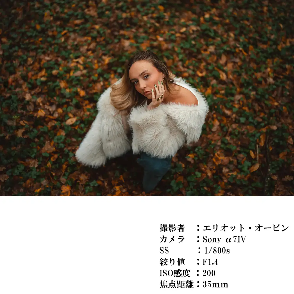 SIGMA 35mm F1.4 II | Art【ソニーEマウント】カメラ　レンズ　家電
