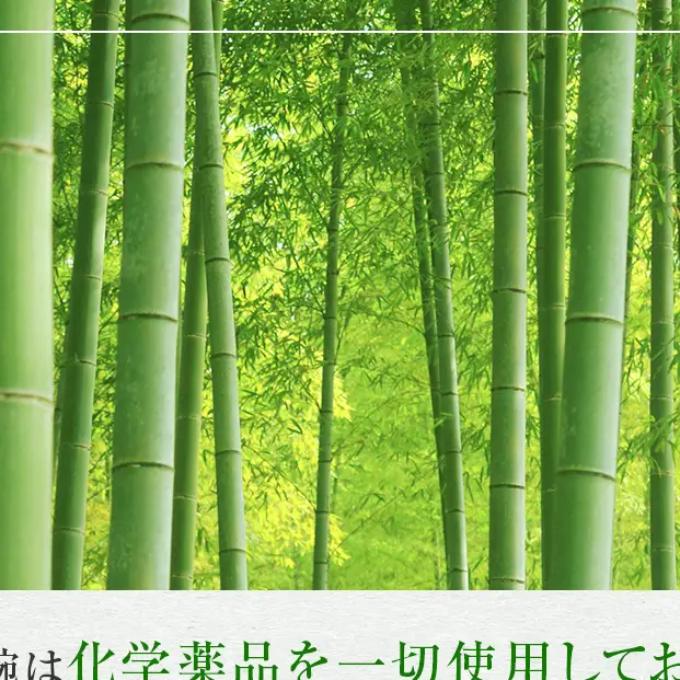 お椀 木製 WD1-1　1個 食器 自然素材 植物由来オイル使用 オーガニック 化学薬品不使用  宮城県 宮城 石巻市 石巻