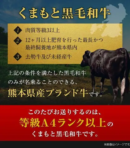 くまもと黒毛和牛 サーロイン リブロース 内モモ 希少部位 500g 牛肉 焼肉用 冷凍 《7-14日以内に出荷予定(土日祝除く)》 くまもと黒毛和牛 黒毛和牛 焼肉 肉 お肉 熊本県 南関町