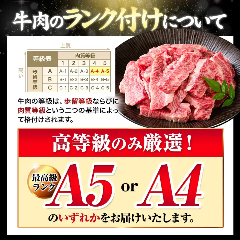 くまもと黒毛和牛 上 カルビ 焼肉 切り落とし 300g 《30日以内に出荷予定(土日祝除く)》熊本県 南関町 上カルビ 焼肉用 黒毛和牛 焼肉 肉 お肉 和牛 A5 A4 300g 小分け