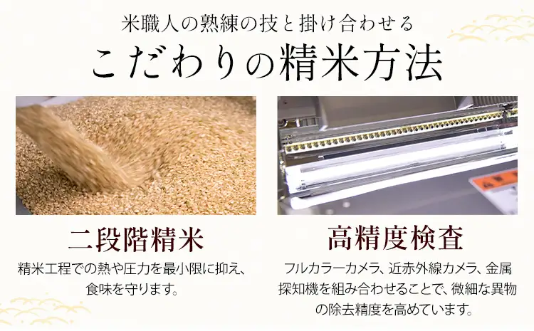 【12ヶ月定期便】米 南関町 せきゆらり 無洗米 5kg《申込みの翌月から出荷開始》熊本県産 国産 無洗米 こめ コメ 5キロ