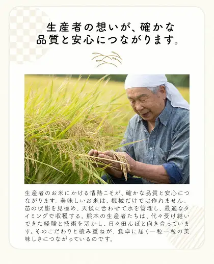 【隔月6回定期便】米  南関町 単一原料米 (ひのひかりorにこまるorくまさんの輝き) 無洗米 10kg《お申込み翌月から出荷》熊本県産 国産 ひのひかり 無洗米 こめ コメ 10キロ