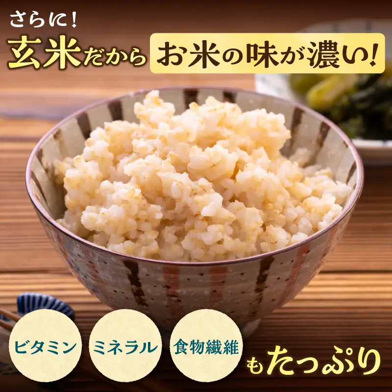 【定期便2回】令和7年産 おぼろづき 玄米 5kg（5kg×1袋）雨竜産 北海道