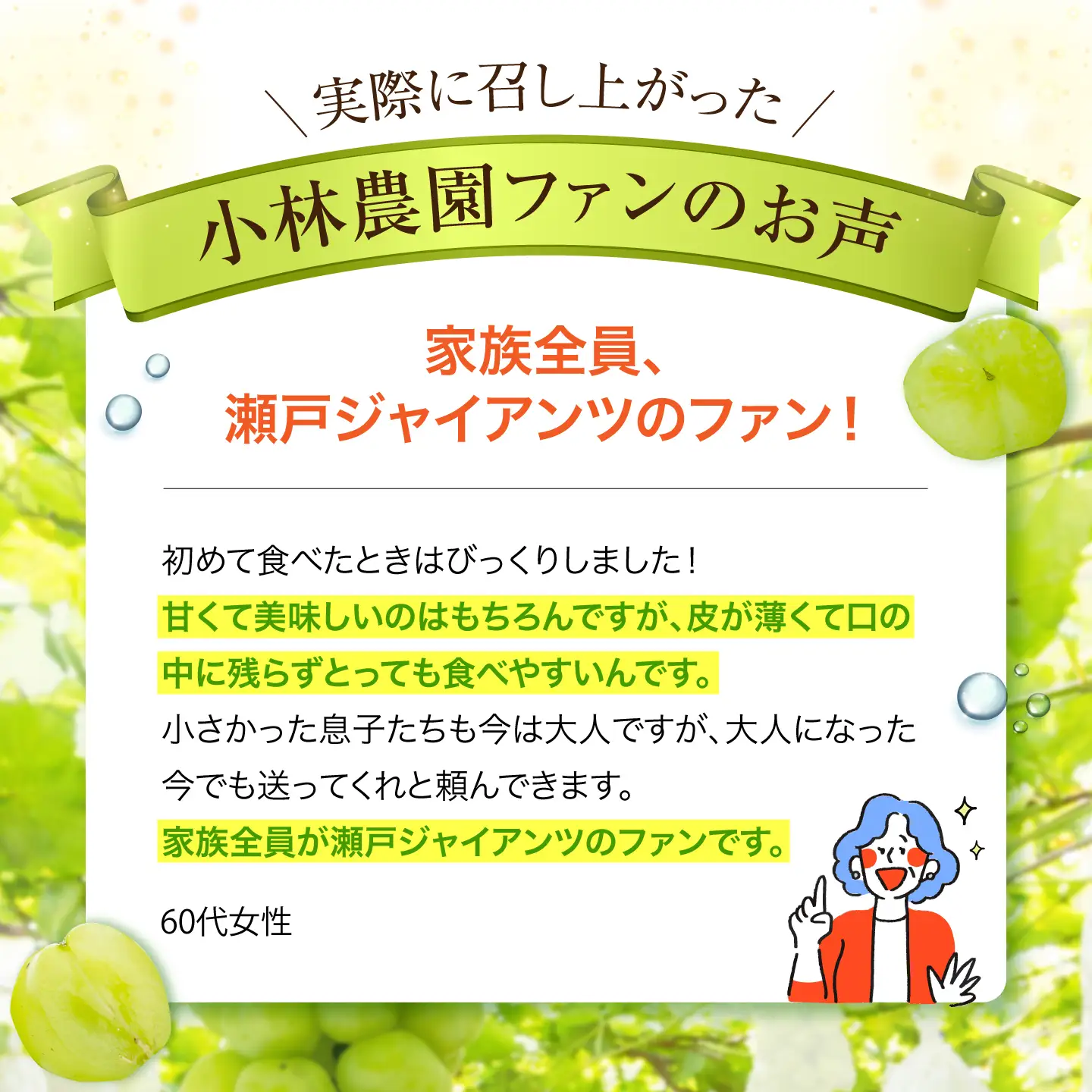 【先行予約】 瀬戸ジャイアンツ 700g以上 【小林農園】 / ブドウ ぶどう 果物 種なし[HAX005]