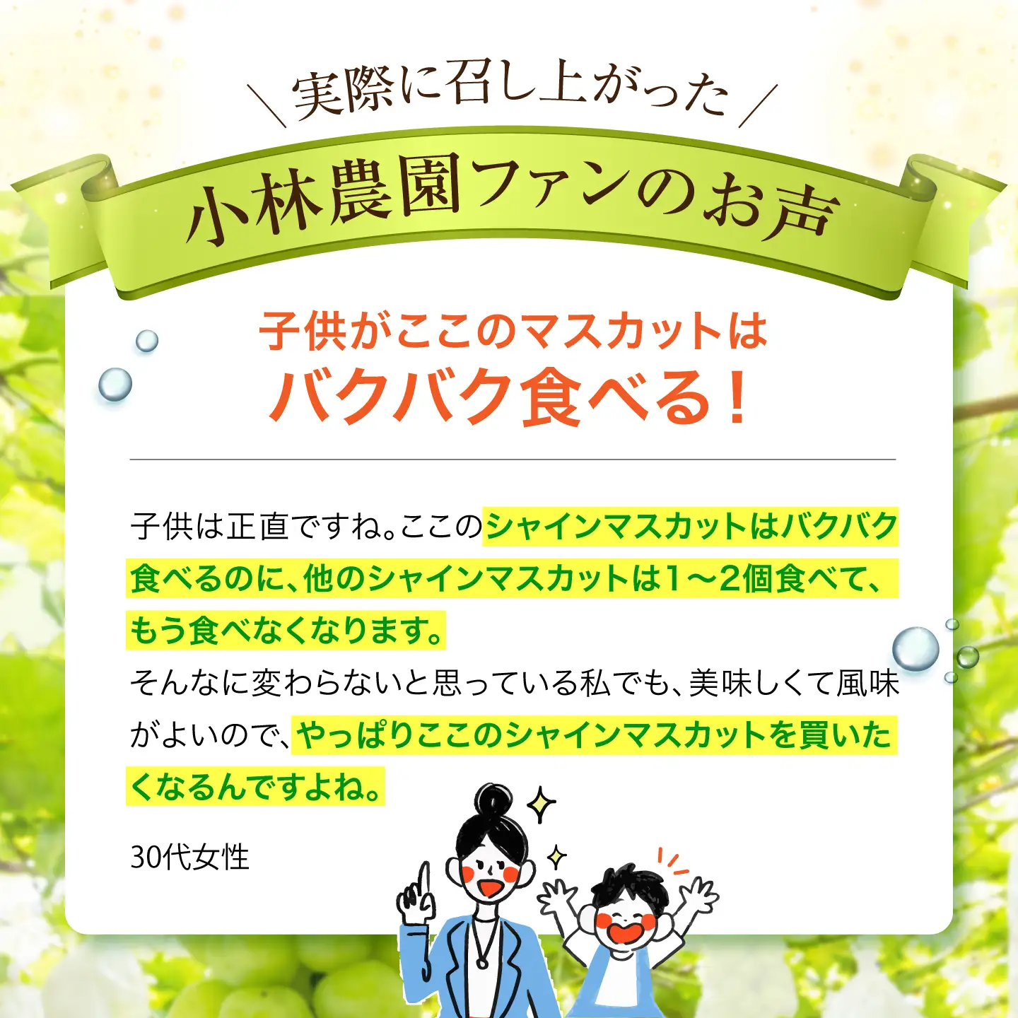 【先行予約】 シャインマスカット 700g以上 【小林農園】 / ブドウ ぶどう 果物 種なし[HAX008]