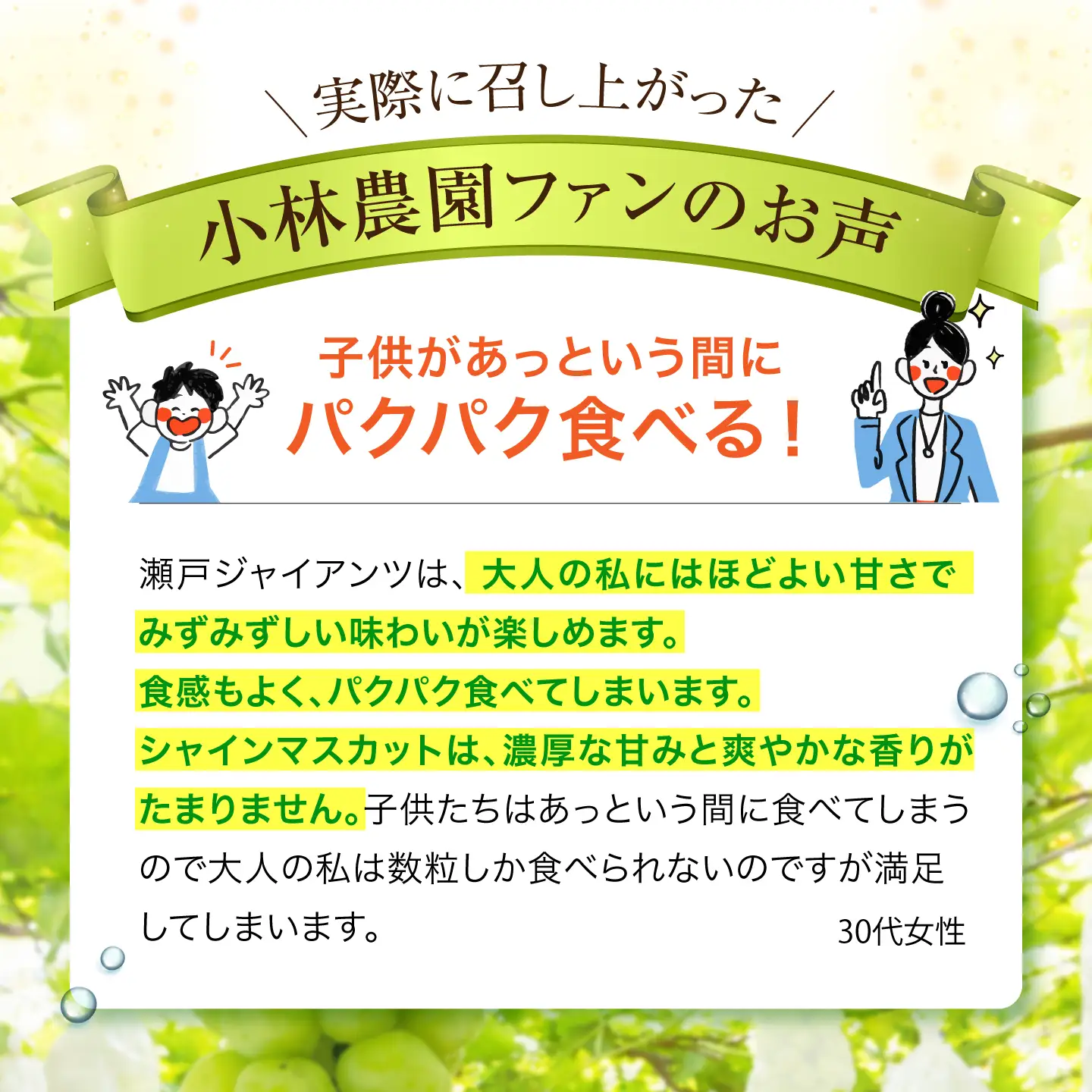 【先行予約】 ぶどう2種詰め合わせ（瀬戸ジャイアンツ・シャインマスカット） 総計700g以上 【小林農園】 / ブドウ ぶどう 果物 種なし[HAX011]