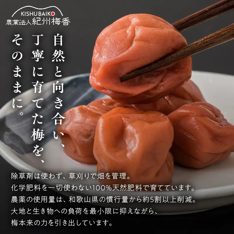 梅干し 訳ありはちみつ梅干 塩分6% 蜂蜜漬け約1kg_KS1001