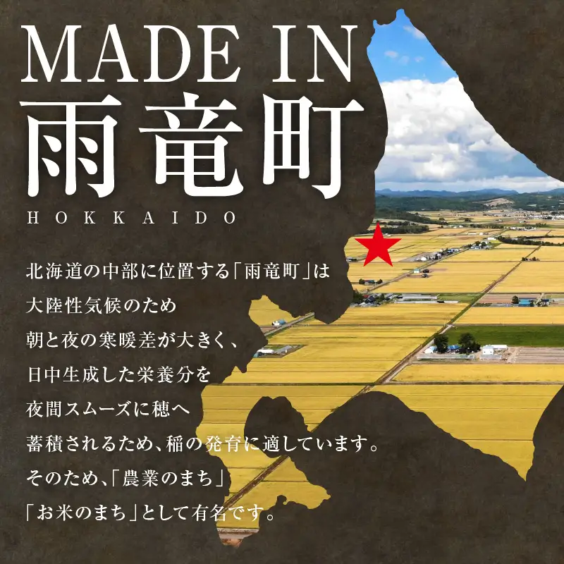 【新米予約】令和８年産【定期便全3回】 雨竜産 ななつぼし 精米 5kg（5kg×1袋）毎月1回お届け ＜ フジエファーム ＞
