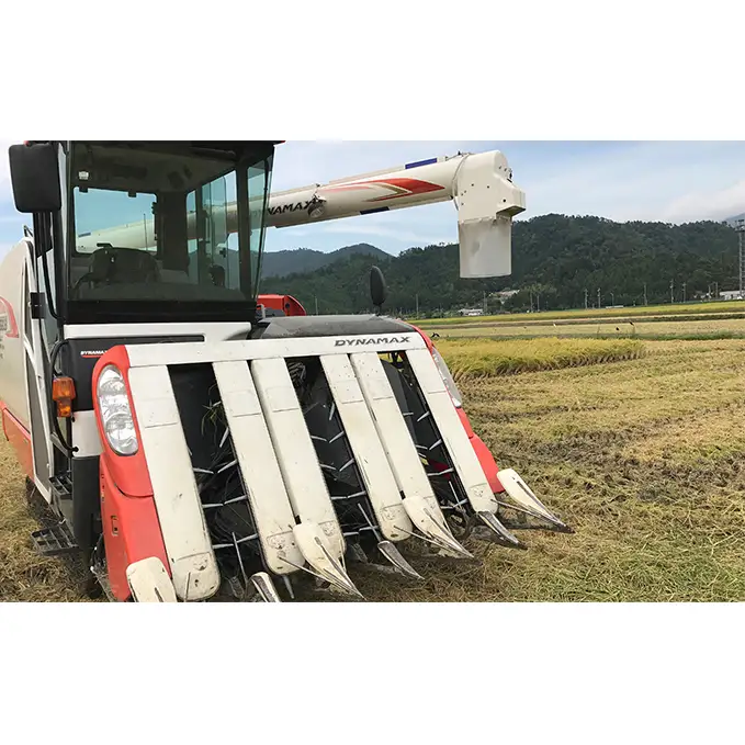 【10月お届け】令和8年産 若狭町コシヒカリ玄米20kg 米 お米 こしひかり 福井県