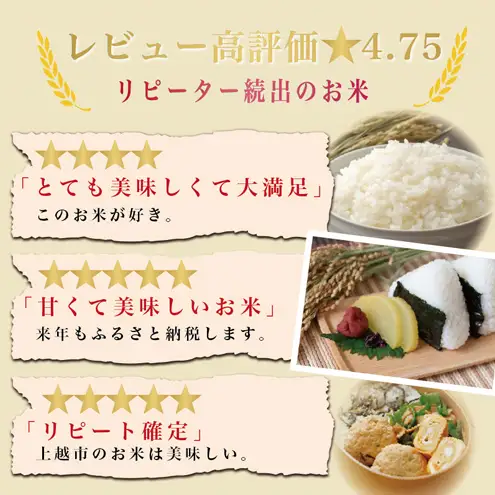 【先行予約 11月より順次出荷】塩崎農場 にじのきらめき 精米 にじのきらめき 5kg
