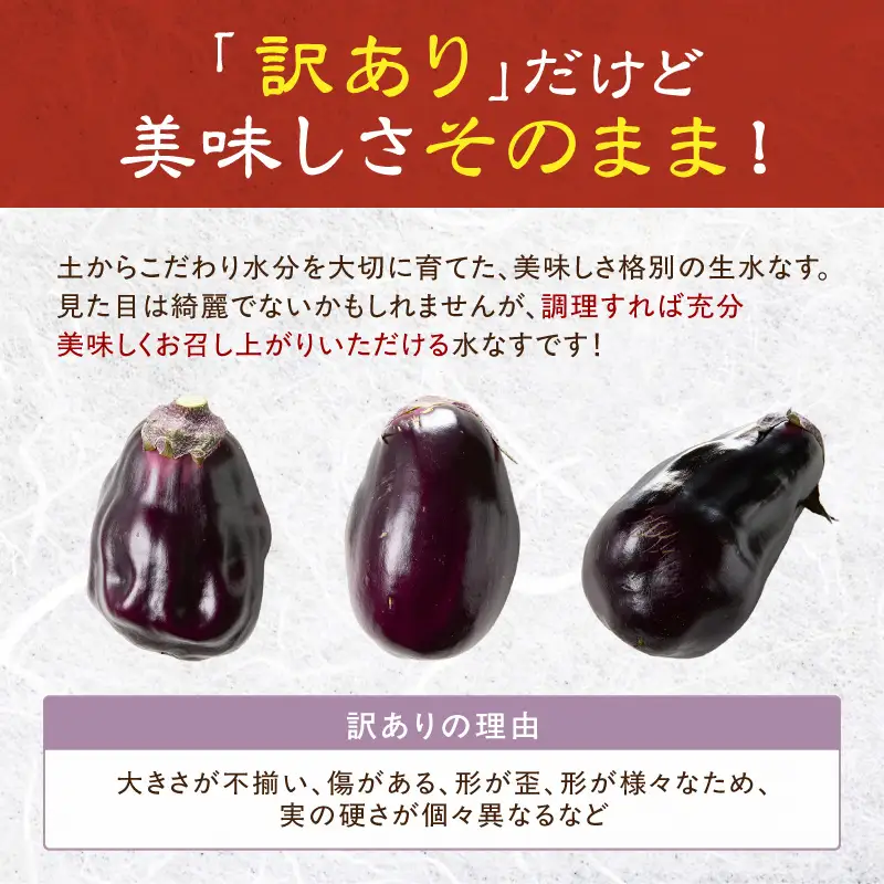 まるやま農園 泉州生水なす訳あり品 12個入り【ふるさと納税3.0】【087D-127】