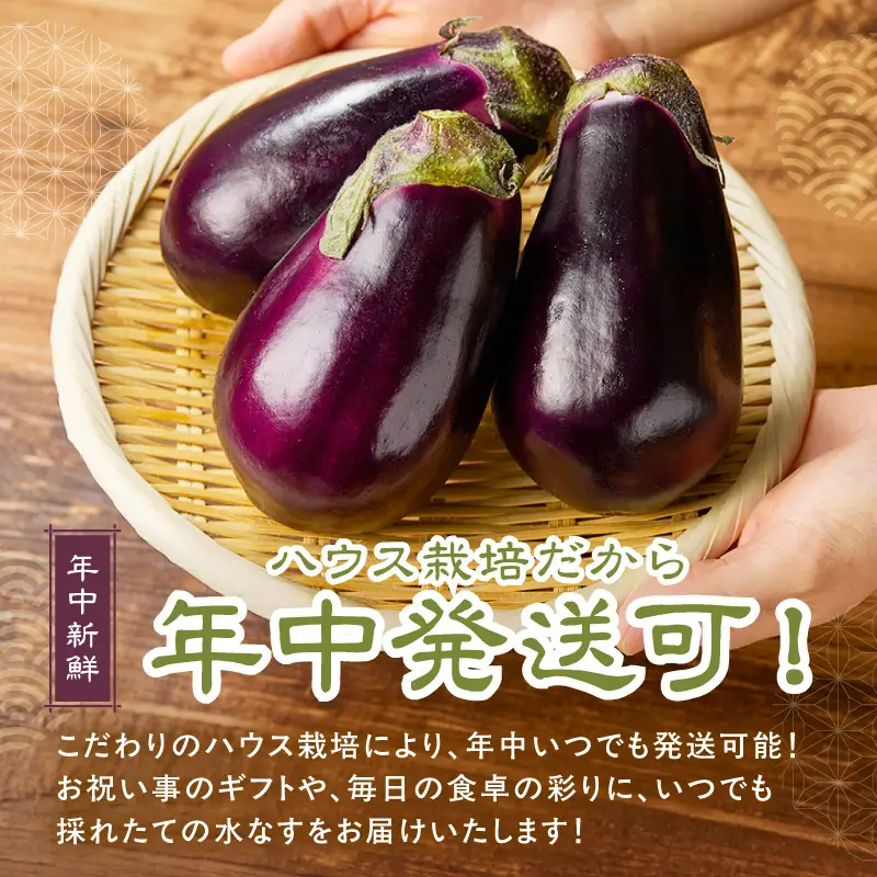 まるやま農園 贈答用 泉州A級生水なす 12個入【ふるさと納税3.0】【087D-125】