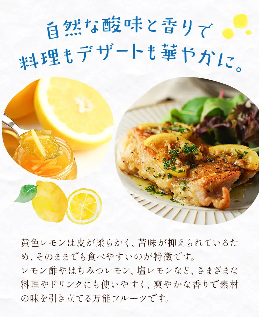 レモン 秀品 5kg 株式会社農業福祉研究機構
