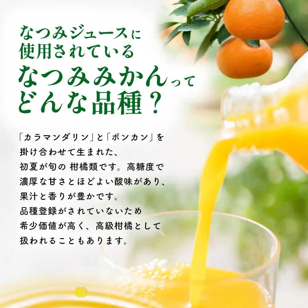 B-882 なつみジュース500ml×4本 希少柑橘なつみみかんの濃厚なストレートジュース 佐賀県 鹿島市